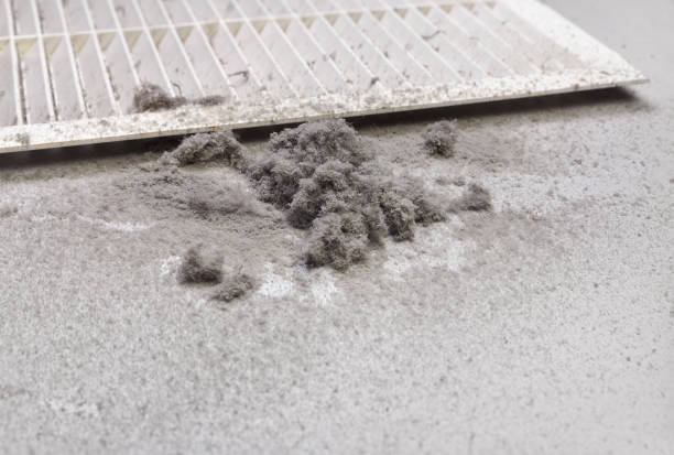 Best Air Duct Mold Removal  in Swannanoa, NC