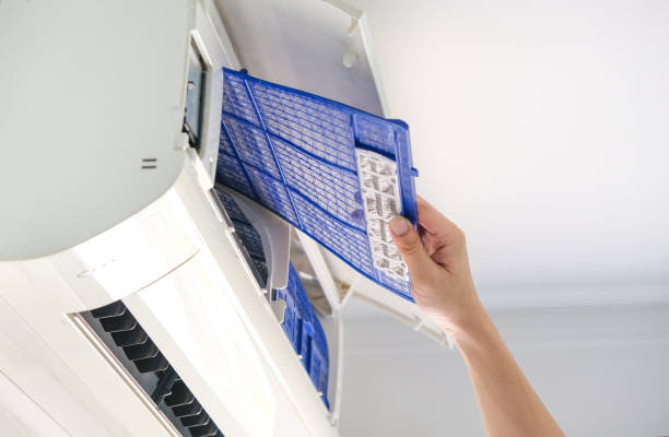 Air Duct Mold Removal in Swannanoa, NC